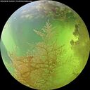 ./images/calvert/underwater/20260808/underwater20260808_161001M.jpg