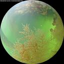 ./images/calvert/underwater/20260808/underwater20260808_161501M.jpg