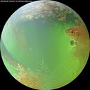 ./images/calvert/underwater/20260808/underwater20260808_162502M.jpg