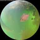 ./images/calvert/underwater/20260808/underwater20260808_164001M.jpg