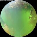 ./images/calvert/underwater/20260808/underwater20260808_165002M.jpg