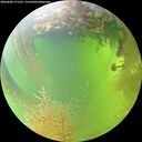 ./images/calvert/underwater/20260808/underwater20260808_171501M.jpg