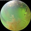 ./images/calvert/underwater/20260808/underwater20260808_172001M.jpg