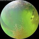 ./images/calvert/underwater/20260808/underwater20260808_172501M.jpg