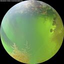 ./images/calvert/underwater/20260808/underwater20260808_173002M.jpg