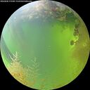 ./images/calvert/underwater/20260808/underwater20260808_173501M.jpg