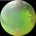 ./images/calvert/underwater/20260808/underwater20260808_174002M.jpg
