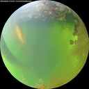 ./images/calvert/underwater/20260808/underwater20260808_175501M.jpg
