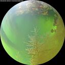 ./images/calvert/underwater/20260808/underwater20260808_180502M.jpg