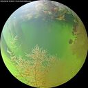 ./images/calvert/underwater/20260808/underwater20260808_183001M.jpg