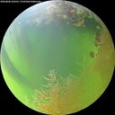 ./images/calvert/underwater/20260808/underwater20260808_183501M.jpg
