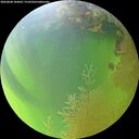 ./images/calvert/underwater/20260808/underwater20260808_184001M.jpg