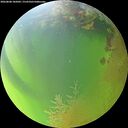 ./images/calvert/underwater/20260808/underwater20260808_185001M.jpg
