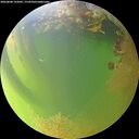 ./images/calvert/underwater/20260808/underwater20260808_192001M.jpg