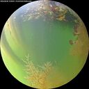 ./images/calvert/underwater/20260808/underwater20260808_193001M.jpg