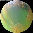 ./images/calvert/underwater/20260808/underwater20260808_193501M.jpg