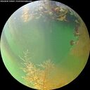 ./images/calvert/underwater/20260808/underwater20260808_194001M.jpg