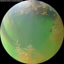 ./images/calvert/underwater/20260808/underwater20260808_194501M.jpg