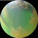 ./images/calvert/underwater/20260808/underwater20260808_195001M.jpg