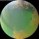 ./images/calvert/underwater/20260808/underwater20260808_195501M.jpg