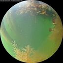 ./images/calvert/underwater/20260808/underwater20260808_200001M.jpg