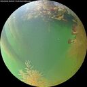./images/calvert/underwater/20260808/underwater20260808_200502M.jpg