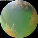 ./images/calvert/underwater/20260808/underwater20260808_201002M.jpg
