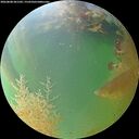./images/calvert/underwater/20260808/underwater20260808_201501M.jpg