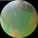 ./images/calvert/underwater/20260808/underwater20260808_202501M.jpg