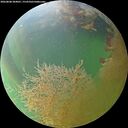 ./images/calvert/underwater/20260808/underwater20260808_204001M.jpg
