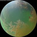 ./images/calvert/underwater/20260808/underwater20260808_205001M.jpg