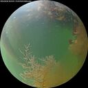 ./images/calvert/underwater/20260808/underwater20260808_205501M.jpg