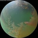 ./images/calvert/underwater/20260808/underwater20260808_210001M.jpg