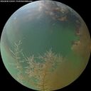 ./images/calvert/underwater/20260808/underwater20260808_210501M.jpg