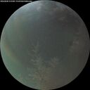 ./images/calvert/underwater/20260808/underwater20260808_213501M.jpg