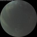 ./images/calvert/underwater/20260808/underwater20260808_214501M.jpg