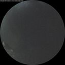 ./images/calvert/underwater/20260809/underwater20260809_052501M.jpg