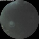 ./images/calvert/underwater/20260809/underwater20260809_053501M.jpg