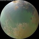./images/calvert/underwater/20260809/underwater20260809_062001M.jpg