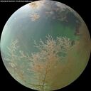 ./images/calvert/underwater/20260809/underwater20260809_062501M.jpg
