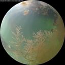 ./images/calvert/underwater/20260809/underwater20260809_063001M.jpg