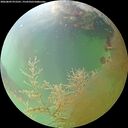 ./images/calvert/underwater/20260809/underwater20260809_072501M.jpg