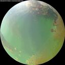 ./images/calvert/underwater/20260809/underwater20260809_073001M.jpg