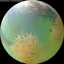 ./images/calvert/underwater/20260809/underwater20260809_081501M.jpg