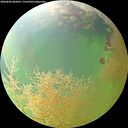 ./images/calvert/underwater/20260809/underwater20260809_083001M.jpg