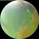 ./images/calvert/underwater/20260809/underwater20260809_083501M.jpg