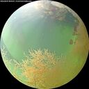 ./images/calvert/underwater/20260809/underwater20260809_084501M.jpg
