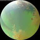 ./images/calvert/underwater/20260809/underwater20260809_091001M.jpg