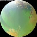 ./images/calvert/underwater/20260809/underwater20260809_091501M.jpg
