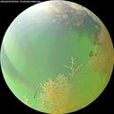 ./images/calvert/underwater/20260809/underwater20260809_092501M.jpg